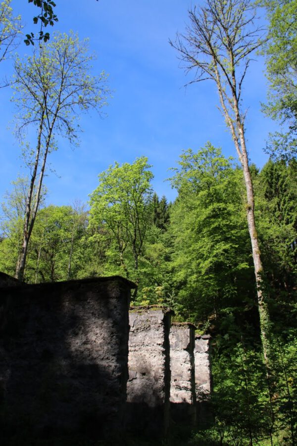 sieg-erlebnisweg-pulvermhlenweg_34762221226_o