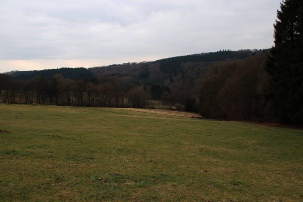 siegsteig-2-etappe-hennef-blankenberg_34416027080_o