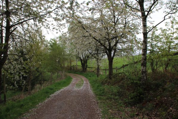 siegsteig-3-etappe-blankenberg-merten_33959533754_o