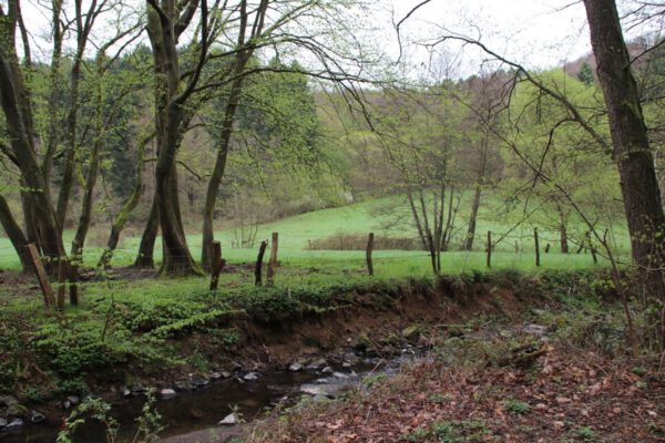 siegsteig-3-etappe-blankenberg-merten_34639567882_o