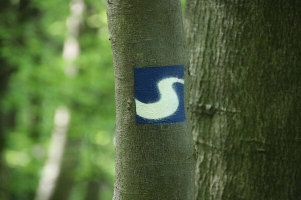 siegsteig-5-etappe-eitorf-herchen_34669668621_o