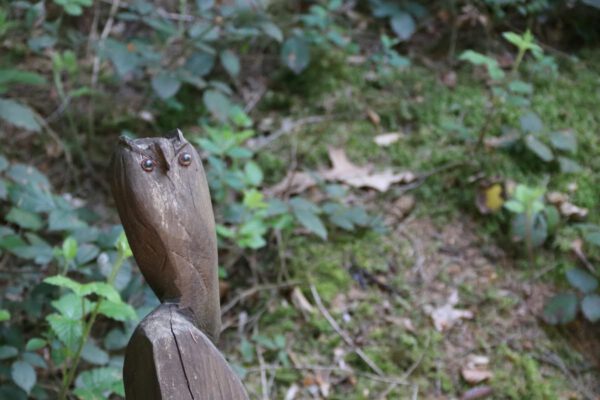 siegsteig-5-etappe-eitorf-herchen_34669676641_o