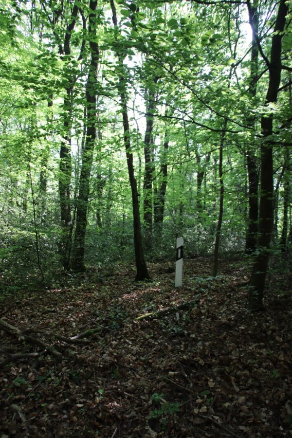 siegsteig-6-etappe-herchen-schleife_34046950214_o