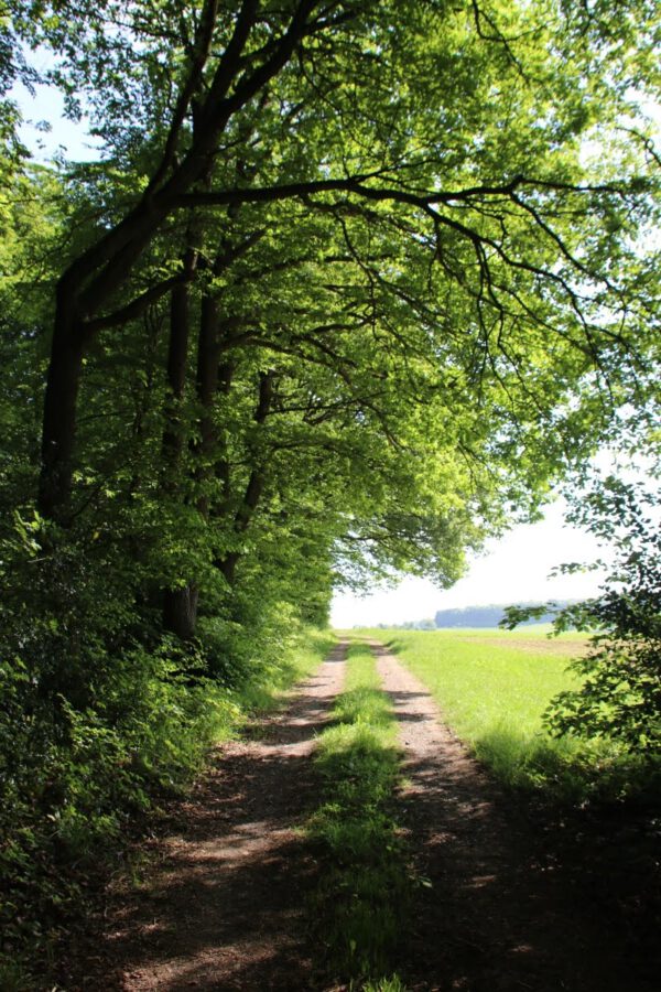 siegsteig-6-etappe-herchen-schleife_34502821920_o