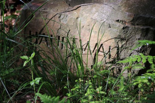 siegsteig-6-etappe-herchen-schleife_34502847530_o
