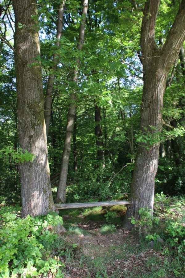 siegsteig-6-etappe-herchen-schleife_34726312882_o