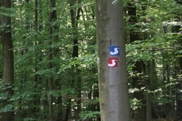 siegsteig-6-etappe-herchen-schleife_34726349382_o