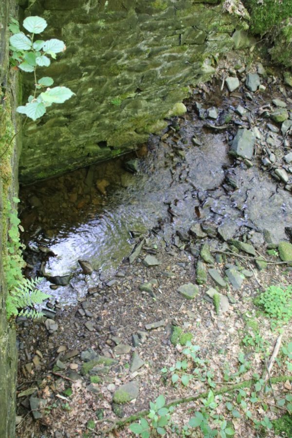 siegsteig-6-etappe-herchen-schleife_34726362362_o