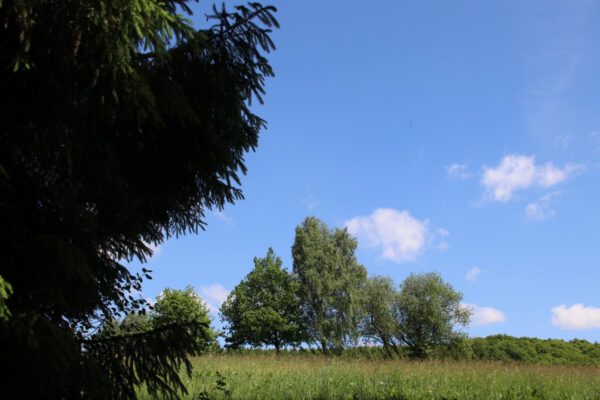 siegsteig-6-etappe-herchen-schleife_34757834291_o