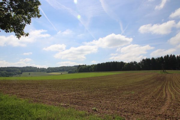 siegsteig-6-etappe-herchen-schleife_34757904071_o