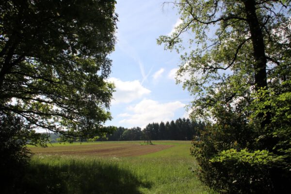 siegsteig-6-etappe-herchen-schleife_34849906936_o