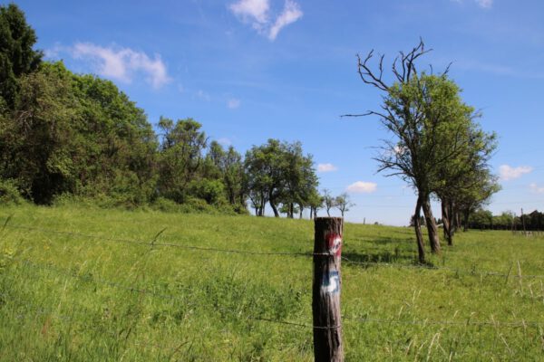 siegsteig-6-etappe-herchen-schleife_34889516225_o