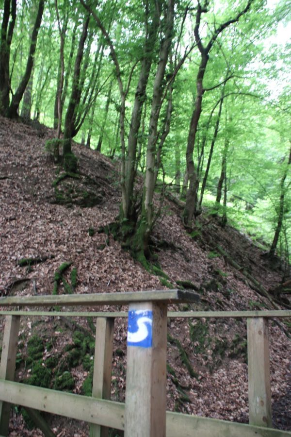 siegsteig-7-etappe-herchen-schladern_34309904203_o