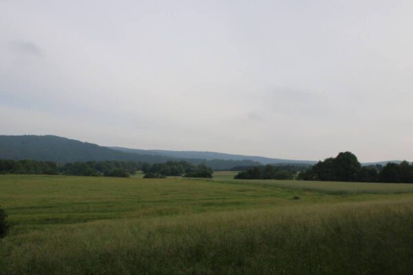 siegsteig-7-etappe-herchen-schladern_34733640690_o