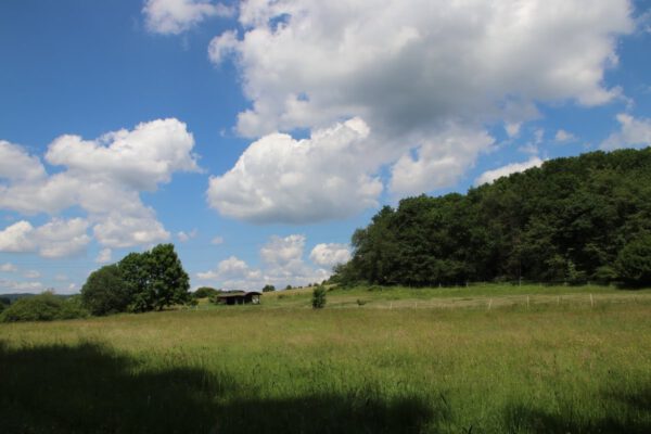 siegsteig-7-etappe-herchen-schladern_34955401492_o