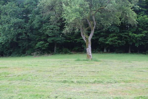 siegsteig-7-etappe-herchen-schladern_35080424086_o