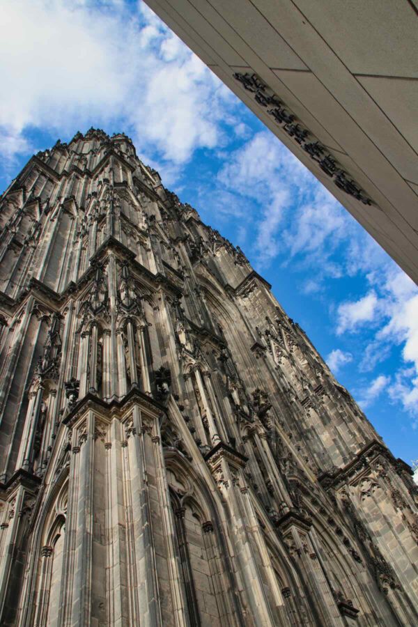 IMG_4319